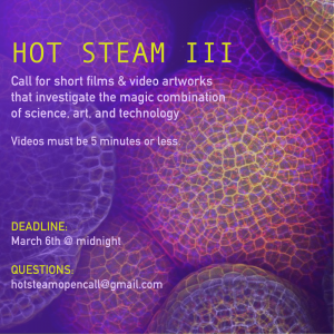 hot-steam-iii-opencall1
